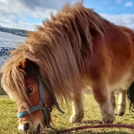 דירה Ferienwohnung Schwarzenberg *